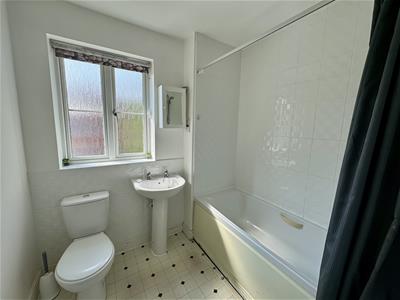 Picture 13